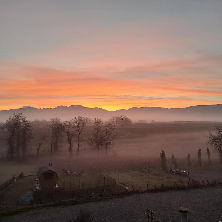 Ferienwohnung Castellberg Heitersheim Buitenkant foto