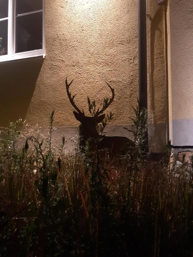 Ferienwohnung Castellberg Heitersheim Buitenkant foto
