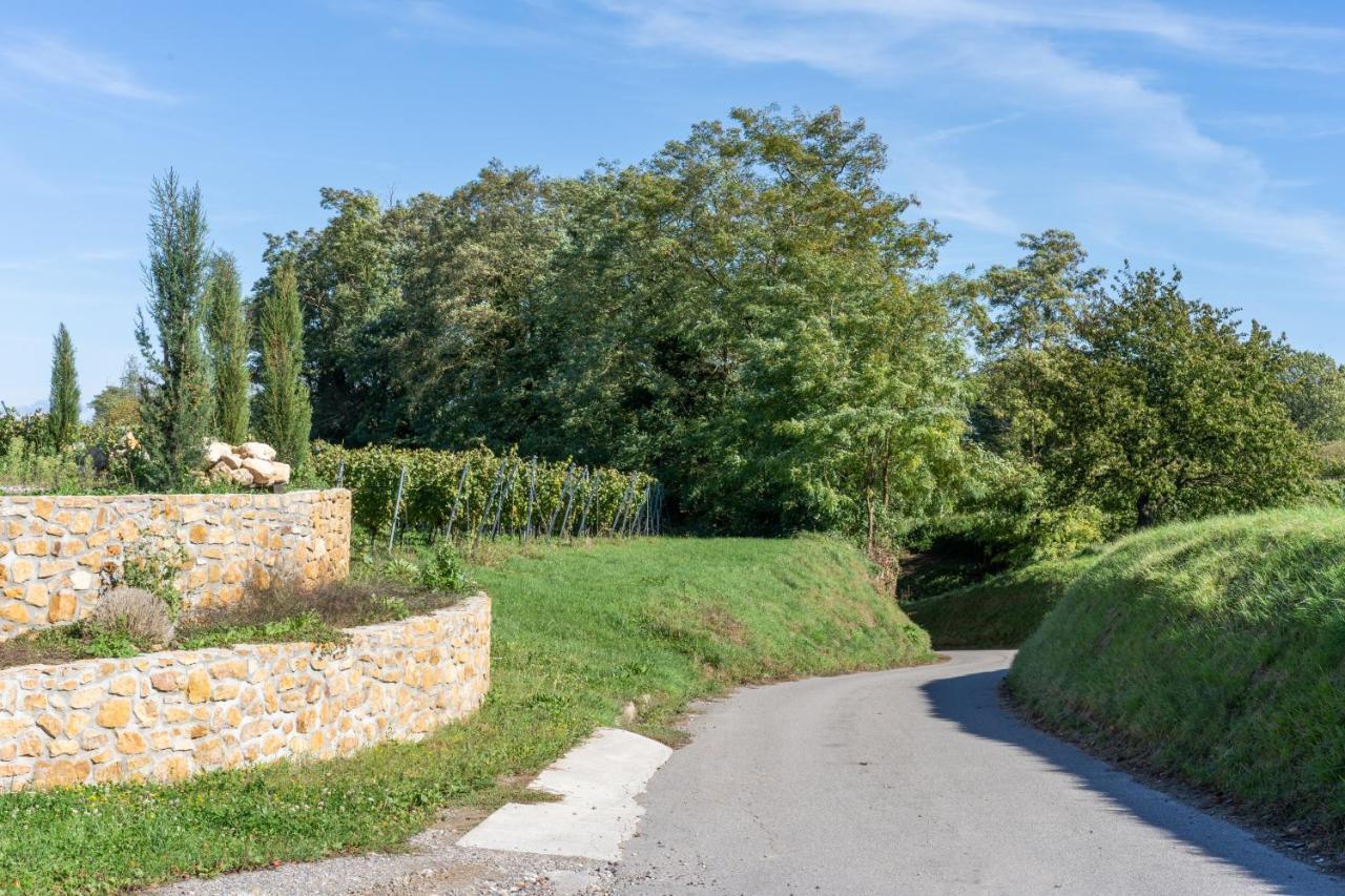 Ferienwohnung Castellberg Heitersheim Buitenkant foto